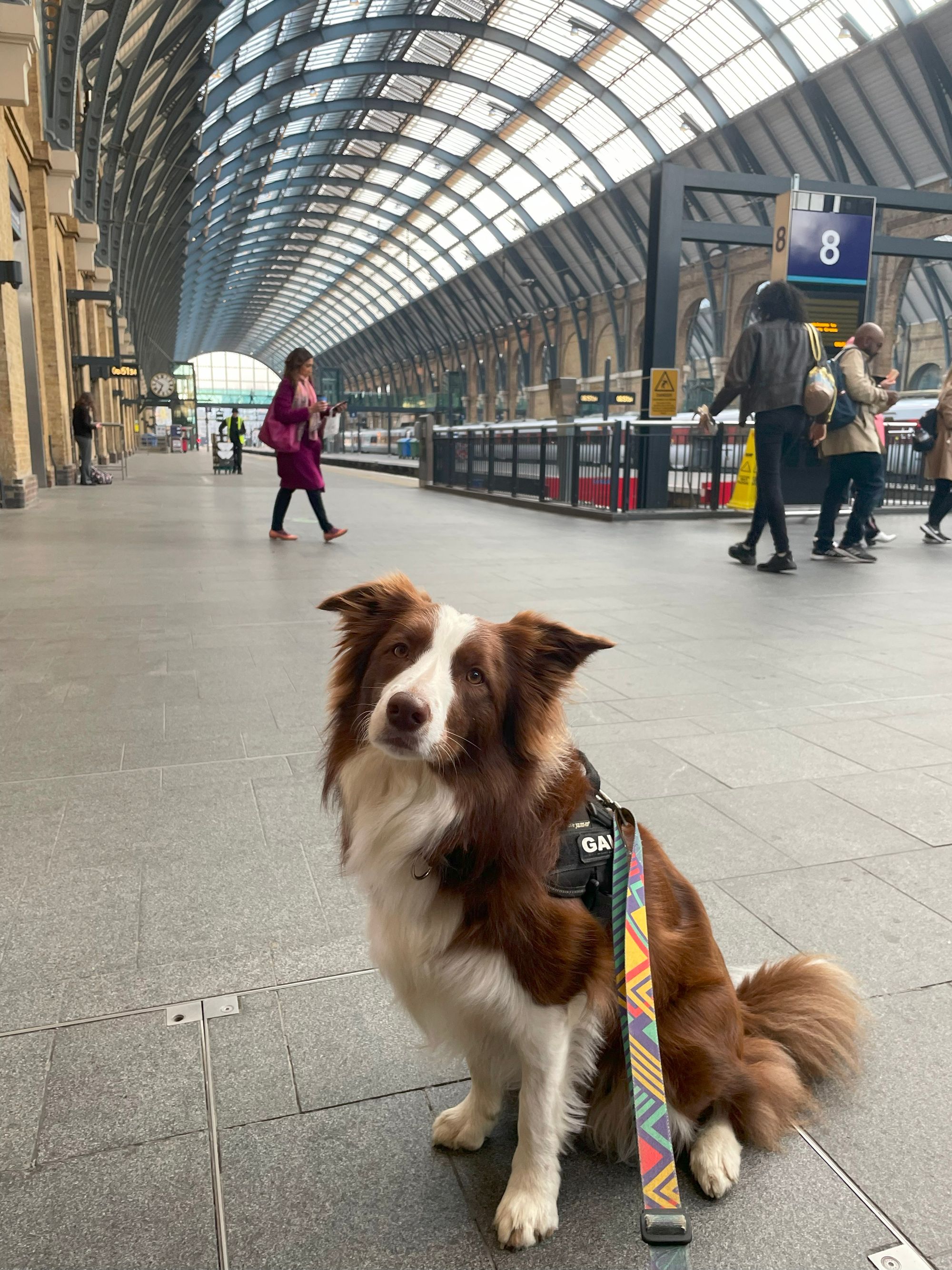 5-Day Dog Trip to Edinburgh and the Scottish Highlands